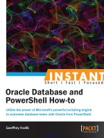 oracle database and powershell how-to