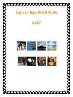Tại sao bạn thích đi du lịch? ppt