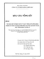 Xác định một số biện pháp kỹ thuật trồng gối giống bông VN35-KS và VN04-4 với ngô nhằm nâng cao hiệu quả kinh tế của việc trồng bông tại Sơn La