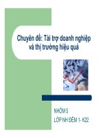 Chuyên đề tài trợ doanh nghiệp và thị trường hiệu quả