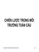 bài giảng chiến lược trong môi trường toàn cầu