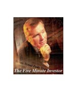 the five minute investor