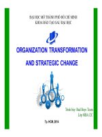 tiểu luận organization transformation and strategic change
