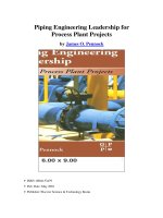 piping engineering leadership for process plant projects