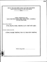 Đề tài : ứng dụng XML trong lưu trữ dữ liệU