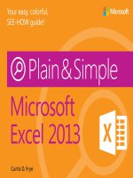 microsoft press excel 2013 plain and simple