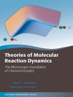 theories of molecular reaction dynamics - the microscopic foundation of chemical kinetics