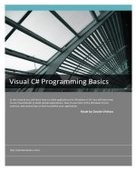 visual c-sharp programming basics