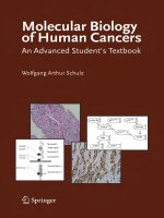 molecular biology of human cancers an advanced student's textbook  - wolfgang a. schulz