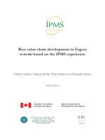 IPMS rice casestudy