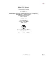 plant cell biology - william v. dashek