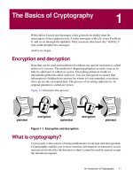 the basics of cryptography