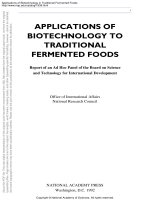 applications of biotechnology in traditional fermented foods by panel on the applications of biotechnology