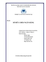 Sở hữu chéo ngân hàng