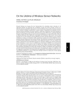 On the Lifetime of Wireless Sensor Networks