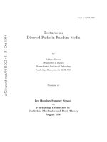 kardar m. les houches lectures on directed paths in random media 