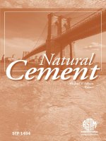 natural cement by michael p. edison