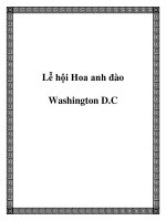 Lễ hội Hoa anh đào Washington D.C pptx