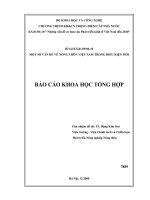 Một số vấn đề nông thôn việt nam trong điều kiện mới