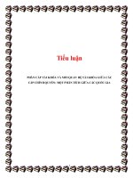 Tiểu luận: Phân cấp tài khóa và mối quan hệ tài khóa giữa các cấp chính quyền: một phân tích giữa các quốc gia