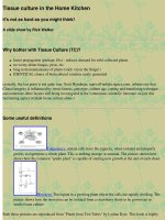 tissue culture in the home kitchen