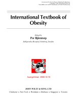 international textbook of obesity
