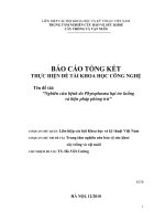 nghiên cứu bệnh do phytoplasma hại tre luồng và biện pháp phòng trừ