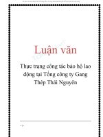 thực trạng công tác bảo hộ lao động tại tổng cty gang thép thái nguyên