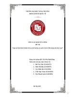 Tiểu luận Kinh tế lượng - ThS Phí Minh Hồng FTU