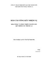khai thác và phát triển nguồn gen quý hiếm cây thuốc lá