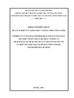 Nghiên cứu ứng dụng mô hình dịch chuyển chất bật, kết hợp với kỹ thuật địa hoá và đồng vị để đánh giá sự dịch chuyển của một số nguyên tố và hợp chất độc hại tại bãi rác đông thanh, thành phố hồ chí minh