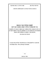 Nghiên cứu hoàn thiện quy trình công nghệ tuyển và sử dụng hợp lý quặng crômit và các khoáng sản đi kèm trong mỏ crômit cổ định thanh hóa