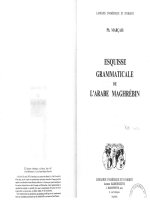 esquisse grammaticale de l'arabe maghrébin