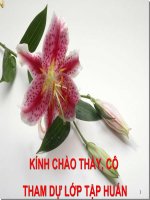 Tập huấn công tác chủ nhiệm Xây dựng kế hoạch chủ nhiệm