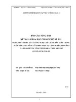 Nghiên cứu thiết kế và công nghệ chế tạo để sản xuất trong nước sà lan đa năng cớ 25.000t phục vụ vận chuyển, thi công và tháo dỡ các công trình khai thác dầu khí