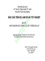 thông đà lạt - sức sống của một cao nguyên (trong nội thất khách sạn blue moon)