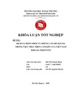 Dịch vụ phân phối và những vấn đề đặt ra trong việc thực hiện cam kết của Việt Nam khi gia nhập WTO