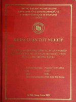 Giải pháp marketing cho các doanh nghiệp phân phối bán lẻ Việt Nam trong bối cảnh mở cửa thị trường bán lẻ