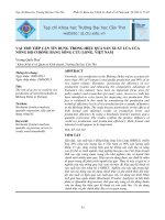 VAI TRÒ TIẾP CẬN TÍN DỤNG TRONG HIỆU QUẢ SẢN XUẤT LÚA CỦA NÔNG HỘ Ở ĐỒNG BẰNG SÔNG CỬU LONG, VIỆT NAM ppt