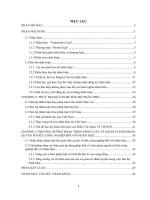 Đề tài: Vấn đề bảo hộ nhãn hiệu doc