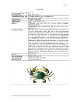 Nhóm giáp xác doc