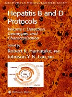 hepatitis b and d protocols volume 1