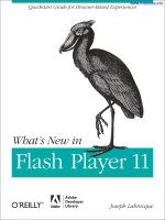 whats new in flash player 11