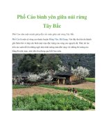 Phố Cáo bình yên giữa núi rừng Tây Bắc doc