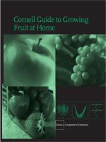 fruit. cornell guide to growing fruit at home