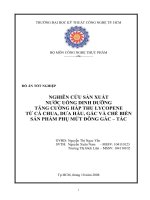 Nghiên cứu sản xuất nước uống dinh dưỡng tăng cường hấp thu Lycopene từ cà chua, dưa hấu, gấc và chế biến sản phẩm phụ mứt đông gấc - tắc