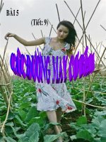 Bài giảng về nghề cắt may - Bài 5 Các đường may cơ bản