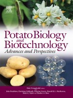 potato biology and biotechnology