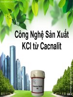 Công nghệ sản xuất KCl từ cacnalit