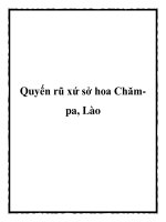 Quyến rũ xứ sở hoa Chămpa, Lào pot